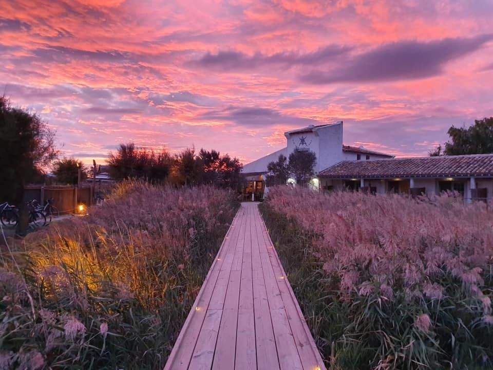 Allée dans le jardin de l'hôtel 4 étoiles avec piscine Les Arnelles, en Camargue