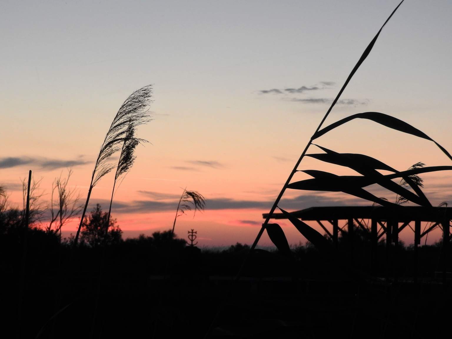 Paysage avec coucher de soleil près de Les Arnelles, Hôtel avec Chevaux et Centre Equestre en Camargue