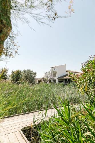 Hôtel de charme Les Arnelles entouré par des champs en Camargue, à Saintes-Maries-de-la-Mer